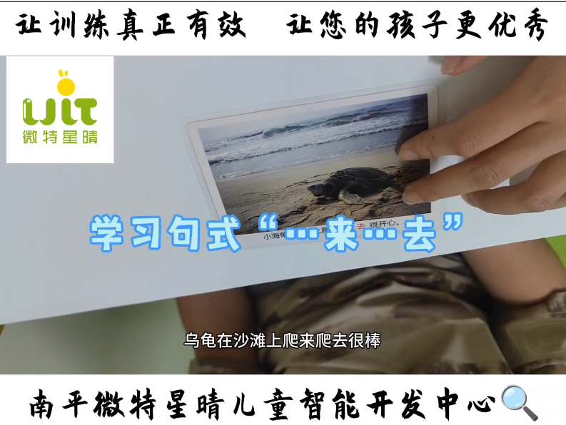 家庭训练——学习句式“......来.......去”