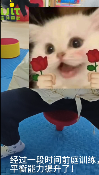 微特星晴——感统课堂随记之孩子进步